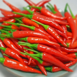 ỚT CHỈ THIÊN CẤP ĐÔNG XUẤT KHẨU